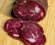 FOODENDI BLOG CARNE SALAME
