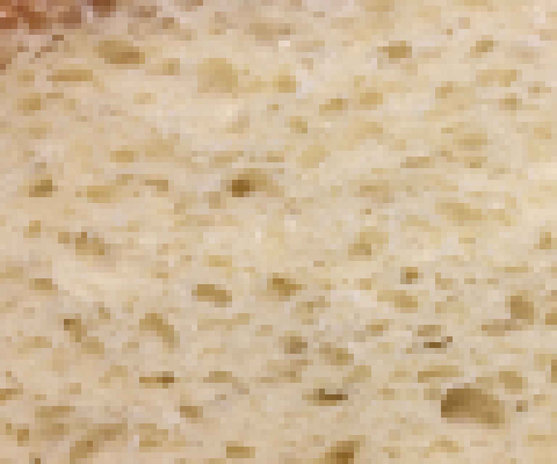 FOODENDI BACKGRND PIXELATE BREAD