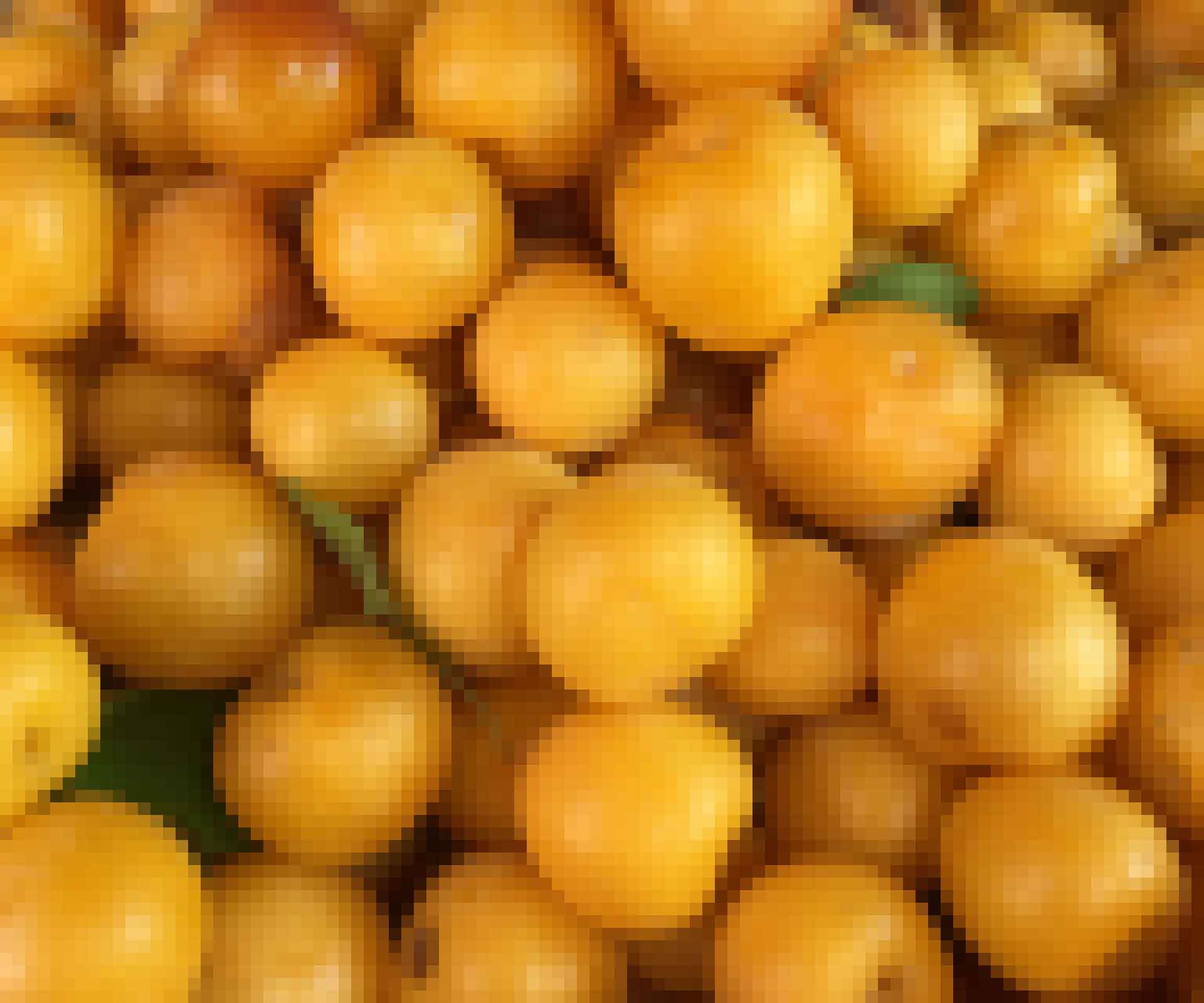 FOODENDI BACKGRND PIXELATE MIRABYELLOW